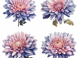 Aster Price: What's the Hype and Should You Even Care?