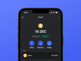 Zcash's Sudden Surge: What's Driving the Price?