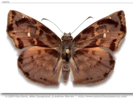 ZERA: Ultra-Lightweight Form and... So What?