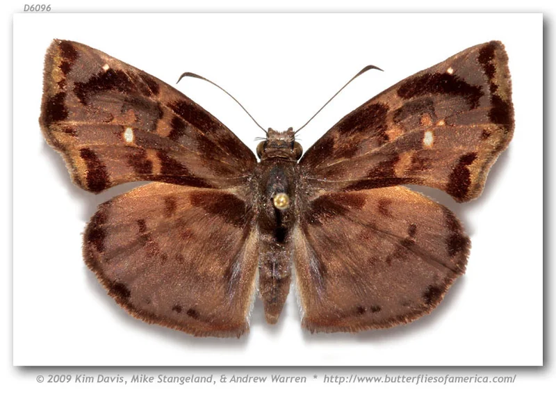 ZERA: Ultra-Lightweight Form and... So What?